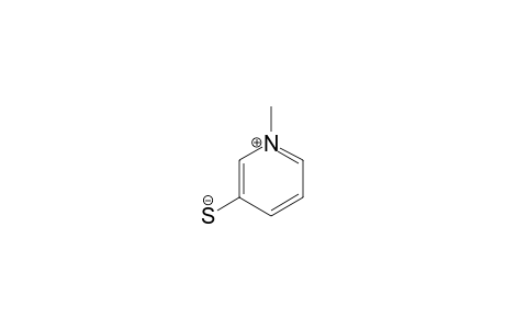 1-methylpyridin-1-ium-3-thiolate