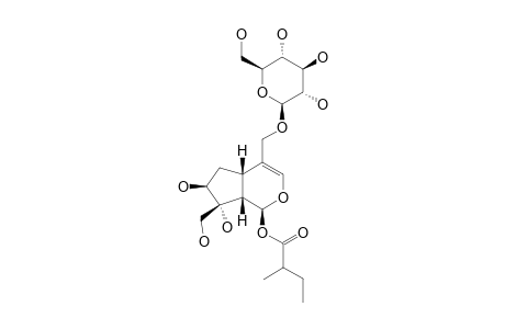 ISOSUSPENSOLIDE-F