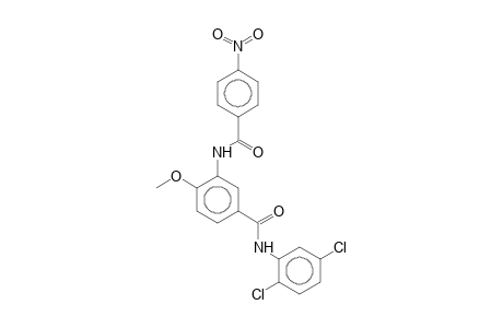 N-(2,5-Dichlorophenyl)-4-methoxy-3-(4-nitrobenzamido)benzamide