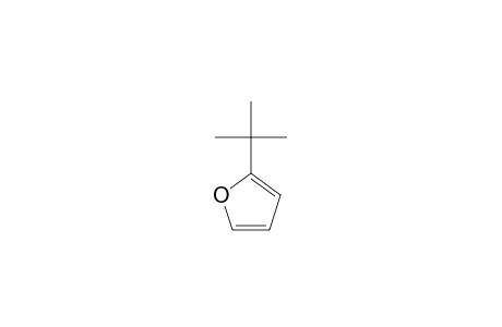 2-tert-Butyl-furan