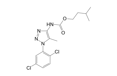 isopentyl 1-(2,5-dichlorophenyl)-5-methyl-1H-1,2,3-triazol-4-ylcarbamate