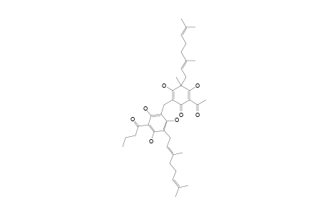 YUNGENSIN_E;2-{[2,4,6-TRIHYDROXY-5-(3,7-DIMETHYL-2,6-OCTADIENYL)-3-BUTANOYLPHENYL]-METHYL}-3,5-DIHYDROXY-4-METHYL-4-(3,7-DIMETHYL-2,6-