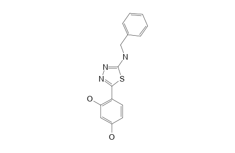 2-(BENZYLAMINO)-5-(2,4-DIHYDROXYPHENYL)-1,3,4-THIADIAZOLE