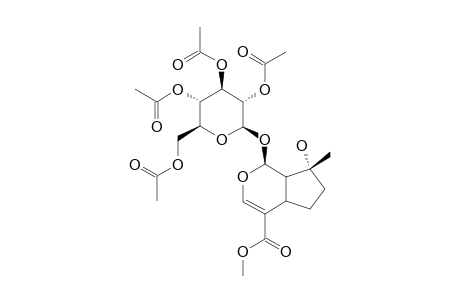 8-EPI MUSSAENOSIDE TETRAACETATE