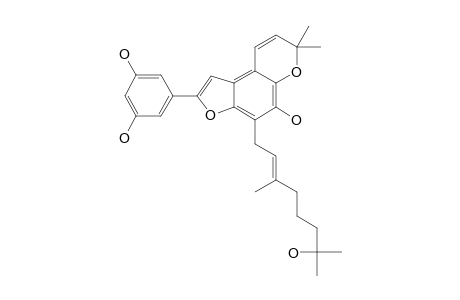 MORACIN-W;3',5',6-TRIHYDROXY-7-[(8''-HYDROXY)-GERANYL]-(2''',2-DIMETHYLPYRANO)-(5'',6'':4,5)-2-ARYLBENZOFURAN