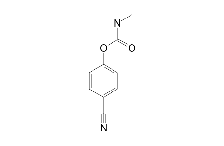 PARA-CYANOPHENYL-N-METHYLCARBAMATE