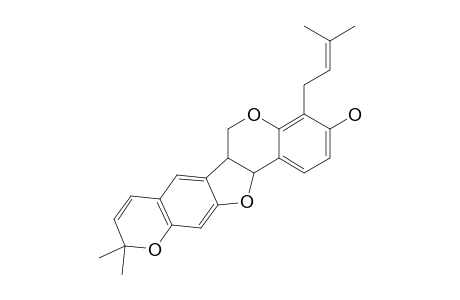 ERYBrAEDIN-D