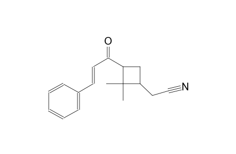 {2,2-dimethyl-3-[(2E)-3-phenyl-2-propenoyl]cyclobutyl}acetonitrile