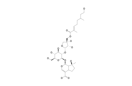 INTERMINOSIDE-A