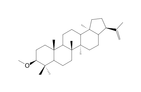 3-BETA-METHOXY-HOP-22(29)-ENE