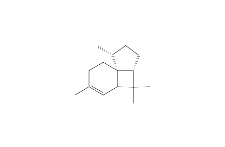 Italicene<iso->