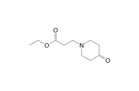 Ethyl 3-(4-oxopiperidin-1-yl)propanoate