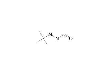 N-ACETYL-N-TERT.-BUTYL-HYDRAZIDE