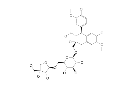 YEMUOSIDE-YM6