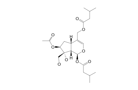 JATAMANVALTRATE-H