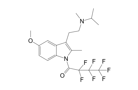 5-MeO-2-Me-MiPT HFB