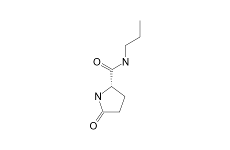 N-PROPYLPYROGLUTAMIDE