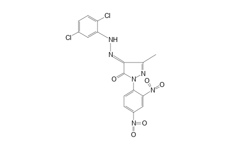 1-(2,4-DINITROPHENYL)-3-METHYLPYRAZOLE-4,5-DIONE, 4-[(2,5-DICHLOROPHENYL)HYDRAZONE]