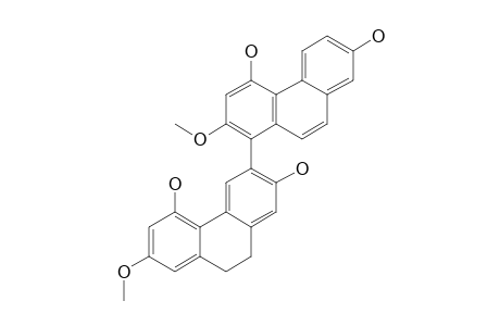 MONBARBATAIN_C