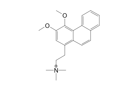 N-METHYL-ATHEROSPERMINIUM-CATION