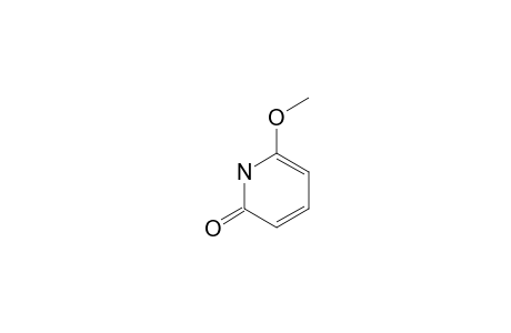 2-METHOXY-6-PYRIDONE