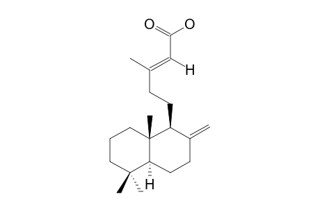 LABDA-8(17),13E-DIEN-15-OIC-ACID