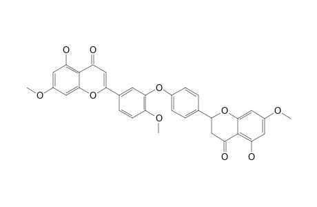 4',7-DIMETHOXY-5-HYDROXYFLAVONE-(3'-O-4''')-7''-METHOXY-5''-HYDROXYFLAVANONE