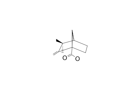 Camphene-1-carboxylic acid