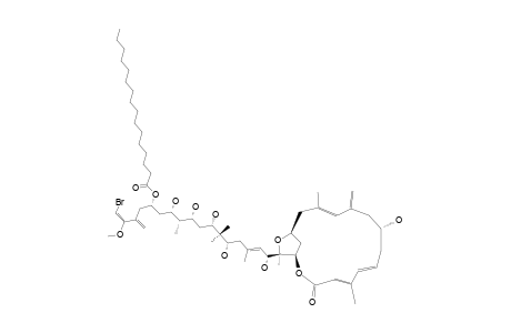 PHORMIDOLIDE;#1;HEXADECANOIC-ACID-1-(4-BROMO-3-METHOXY-2-METHYLENEBUT-3-ENYL)-3,5,7,9,13-PENTAHYDROXY-13-(9-HYDROXY-5,13,17-TRIMETHYL-11-METHYLENE-3-OXO-2,16-D