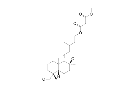 8-BETA,18-DIHYDROXY-15-MALONYLOXY-ENT-LABDANE-METHYLESTER