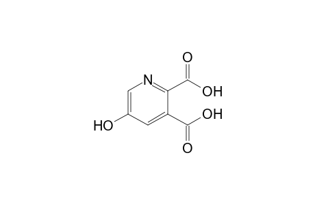 5-Hydroxypyridine-2,3-dicarboxylic acid