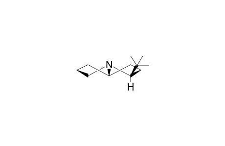 EXO-2-TERT-BUTYL-TWIST-PYRROLIZIDINE