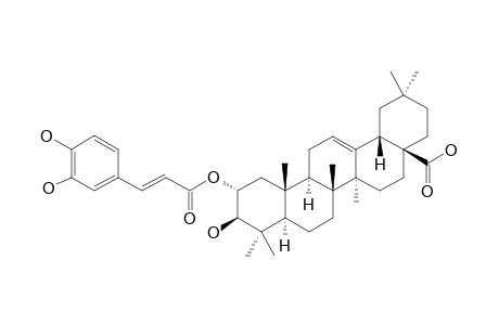 2-O-CAFFEOYL-MASLINIC-ACID