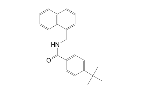 benzamide, 4-(1,1-dimethylethyl)-N-(1-naphthalenylmethyl)-