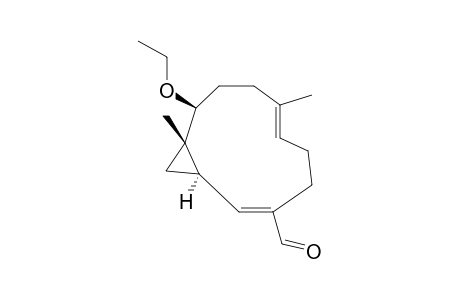 7-O-ETHYLMADOLIN_W