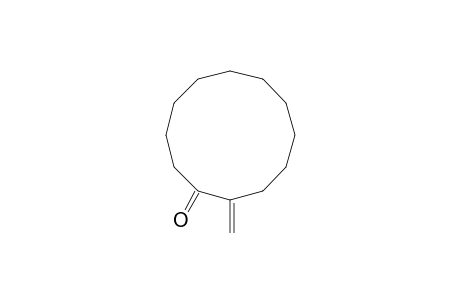 2-METHYLENECYCLODODECANONE