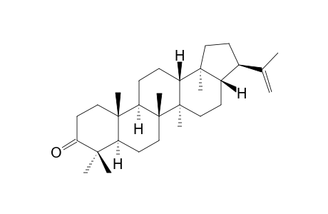 MORETENONE;3-OXO-21-ALPHA-H-HOP-22(29)-EN