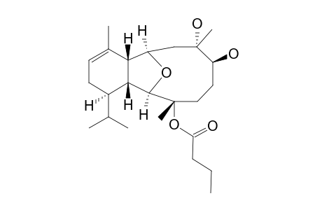 HIRSUTALIN_E