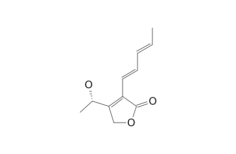 KOBIFURANONE-B;4-(1-HYDROXYETHYL)-3-((1E,3E)-PENTADIENYL)-2(5H)-FURANONE