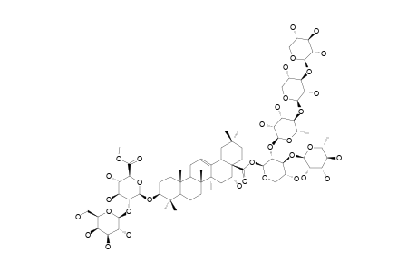 SCABEROSIDE-HG;3-O-BETA-[GALACTOPYRANOSYL-(1->2)-(6-O-METHYL)-GLUCURONOPYRANOSYL]-ECHINOCYSTIC-ACID-28-O-XYLOPYRANOSYL-(1->3)-XYLOPYRANOSYL-(1->4)