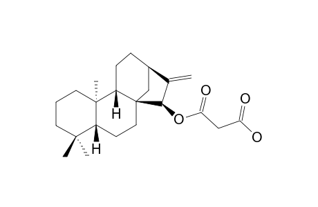 ENT-KAUR-16-EN-15-BETA-YL-HYDROGEN-MALONATE