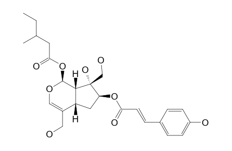 LUZONOID-E