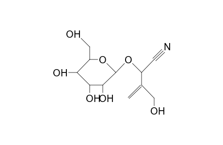 Cardiospermin