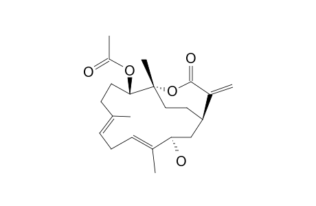 SINULAFLEXIOLIDE_K