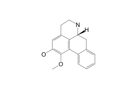 Asimilobine