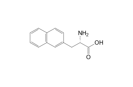 3-(2-Naphthyl)-L-alanine