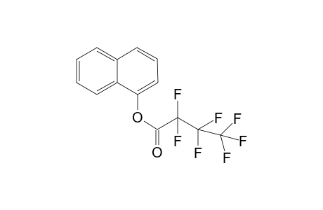 Duloxetine-M (1-naphthol) HFB     @