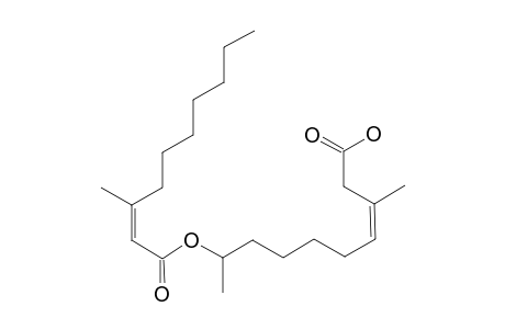 OFFICINOIC_ACID_B