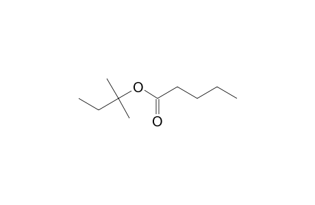 tert-Pentyl pentanoate