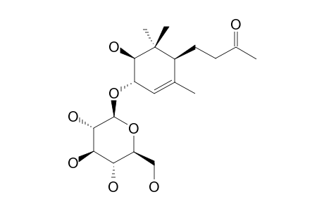 ICARISIDE-B10